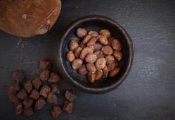 Burro di cupuaçu dell'Amazzonia - equilibrio di acidi gassi per un'idratazione perfetta