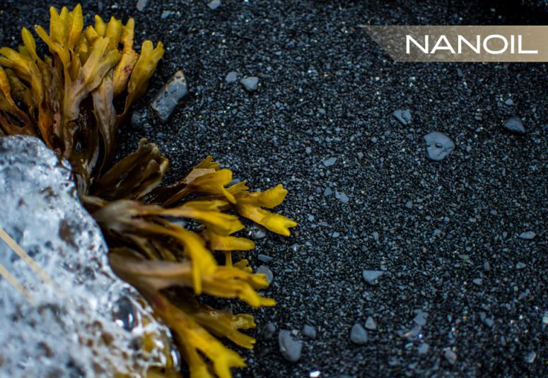 Capelli del mondo. Parte 7: Cura dei Capelli in Artide e Antartide